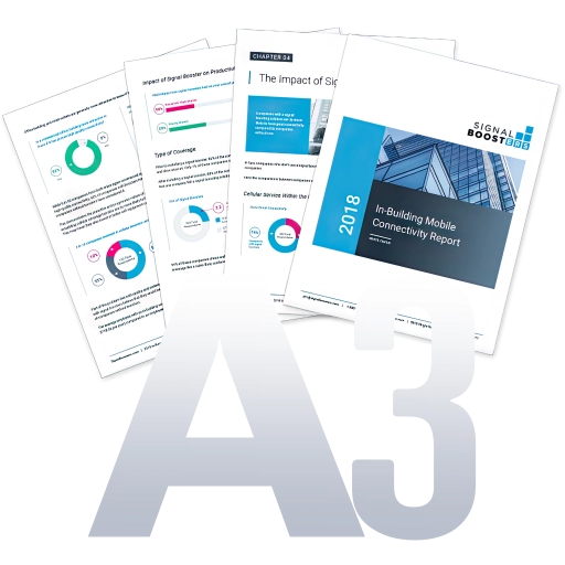 A3